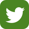 Green Twitter icon and hyperlink